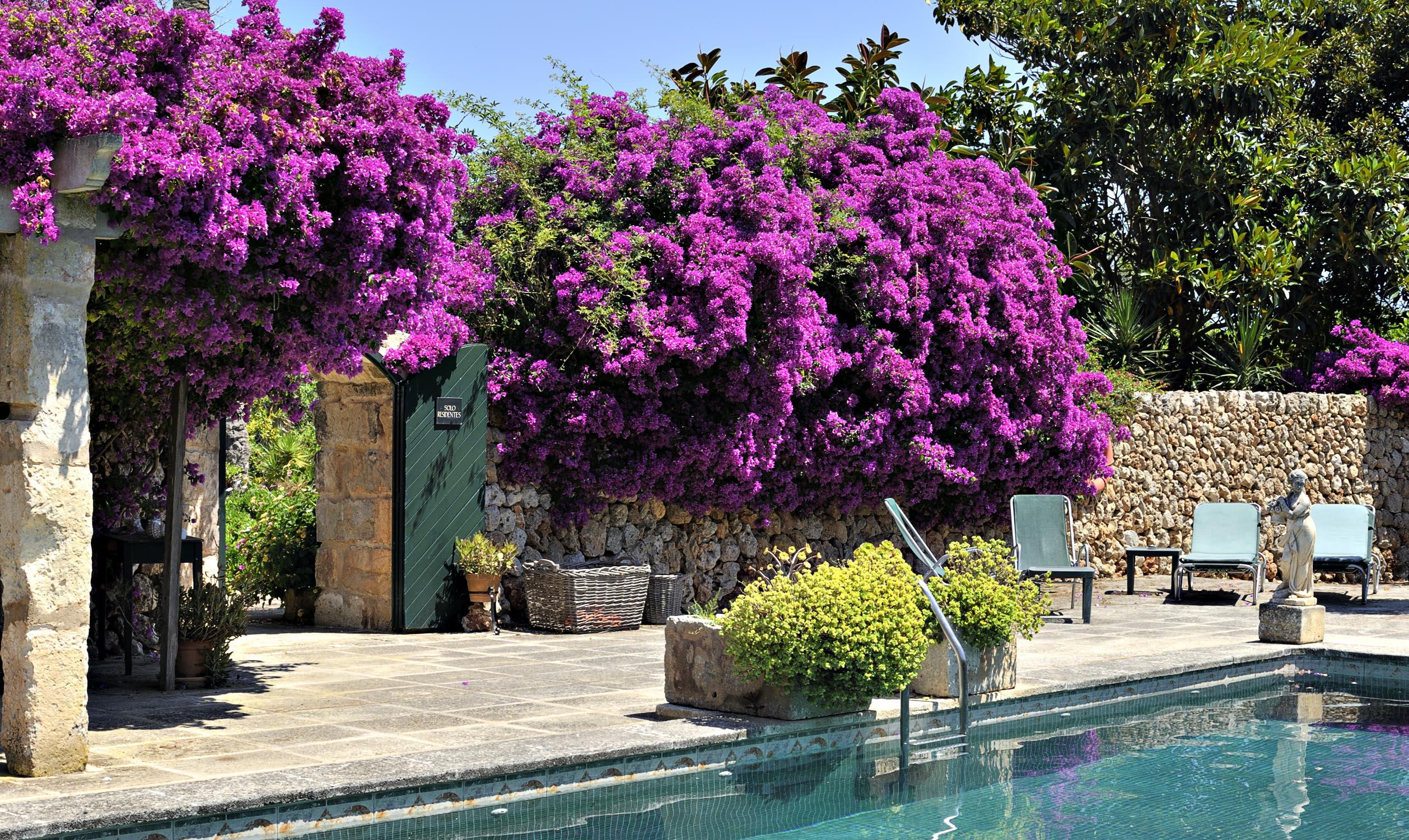 Hotel Rural Biniarroca - Adults Only Sant Lluis Dış mekan fotoğraf
